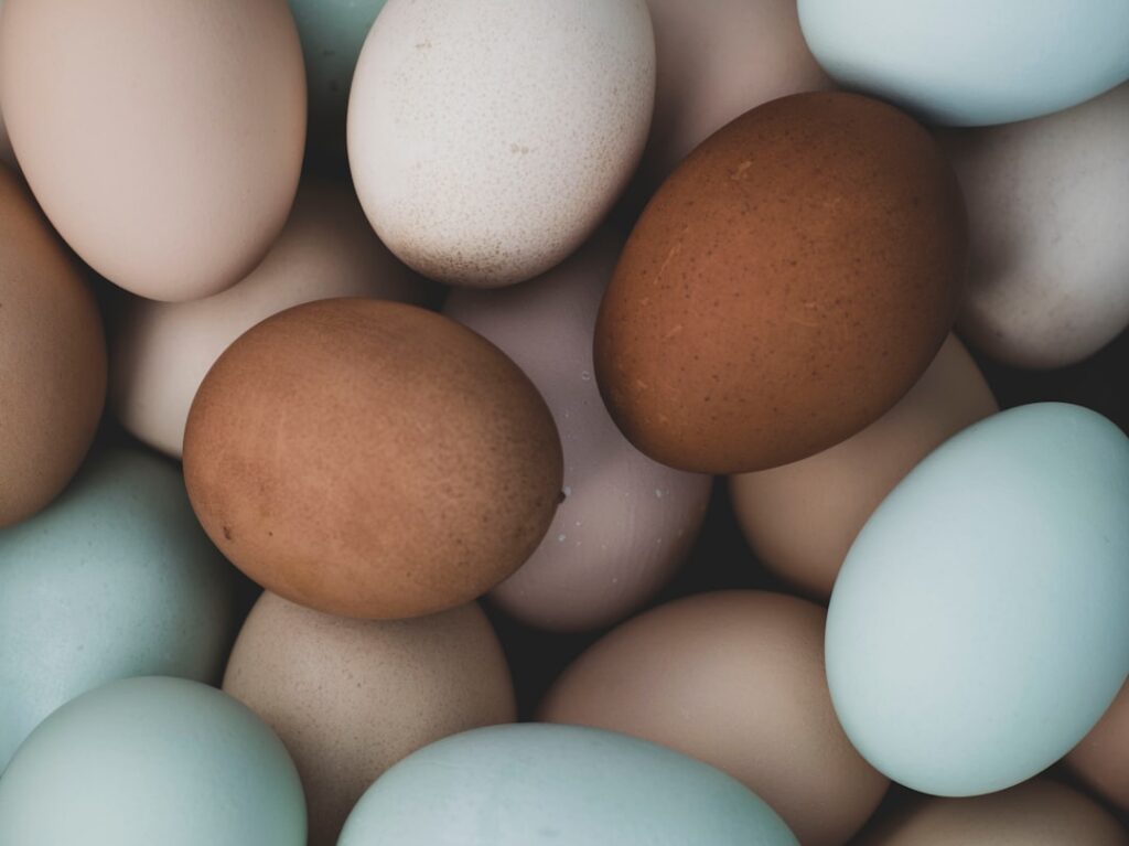 A mix of brown, white, and blue-green free range eggs showing natural color variation by breed